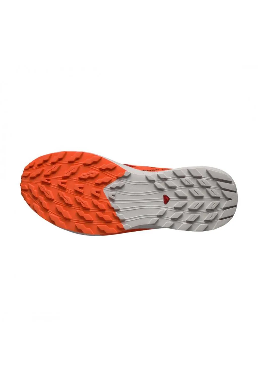 Zapatilla Salomon Sense Ride 5 470462